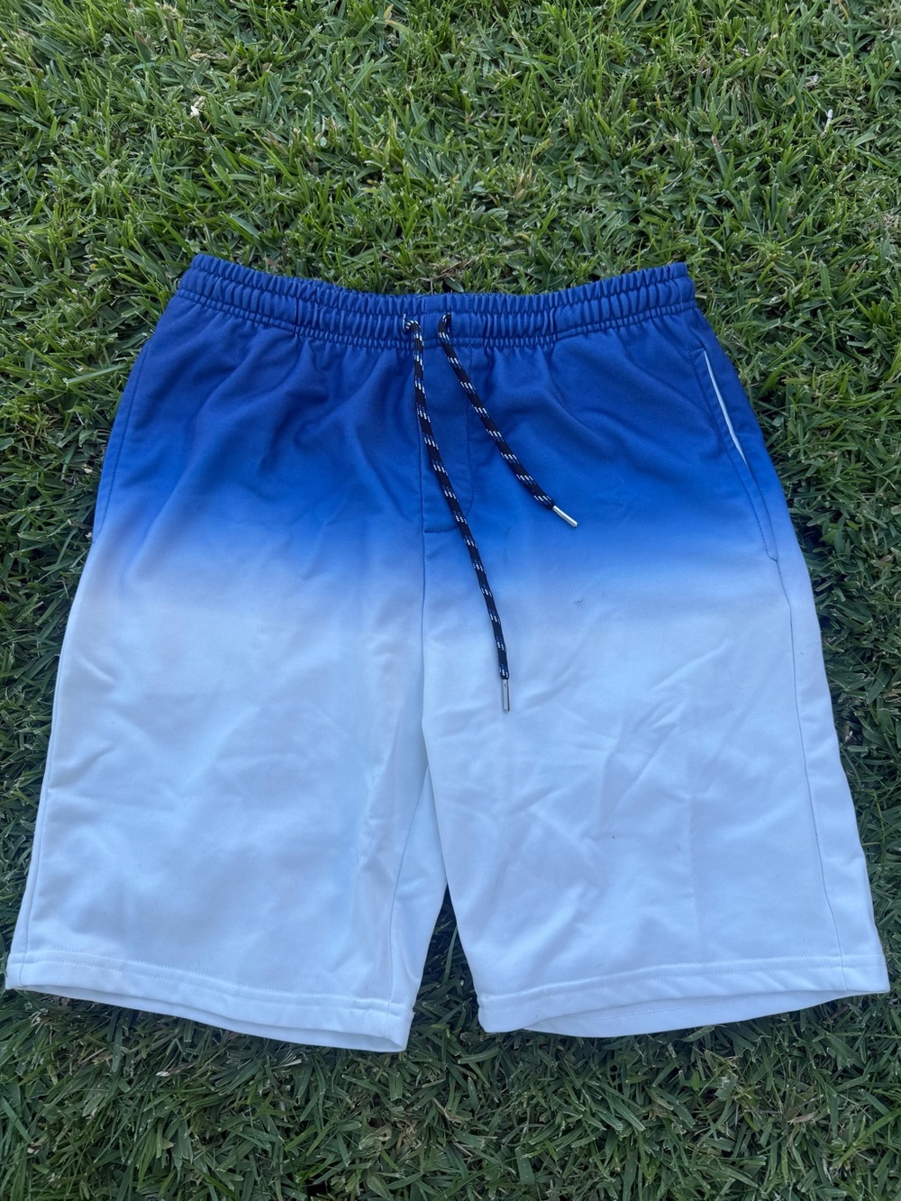 Public Record Standard Fit White And Blue Fleece Shorts - Size Large